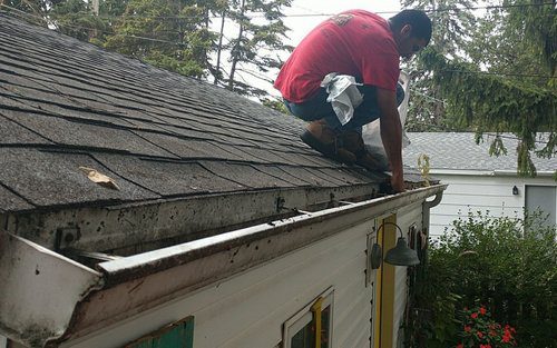 Gutter Cleaning Services in Park RIdge- Why we clean your gutters.
