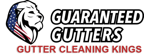 gutter-cleaning-services-in-chicago-il-guaranteed-gutters