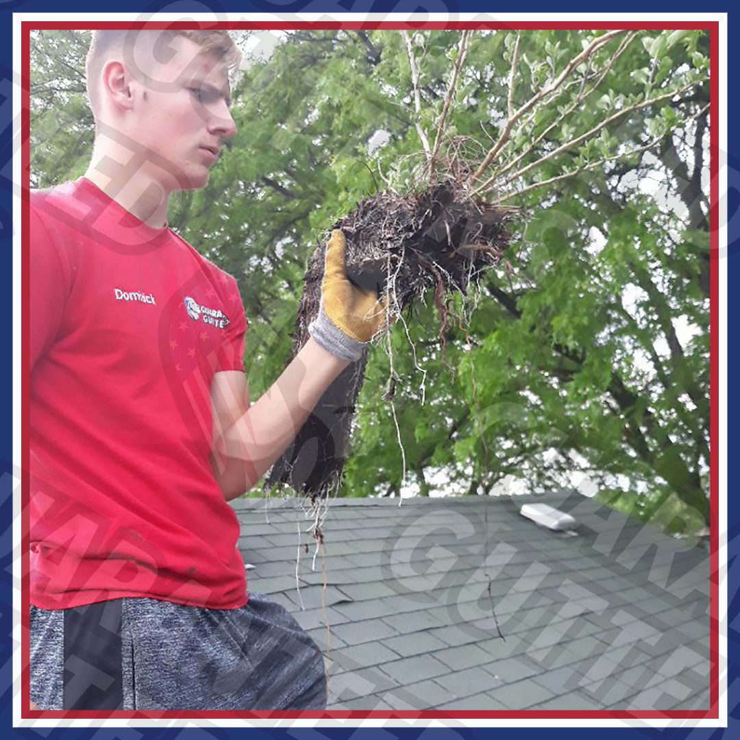 CHICAGO GUTTER CLEANING SERVICE