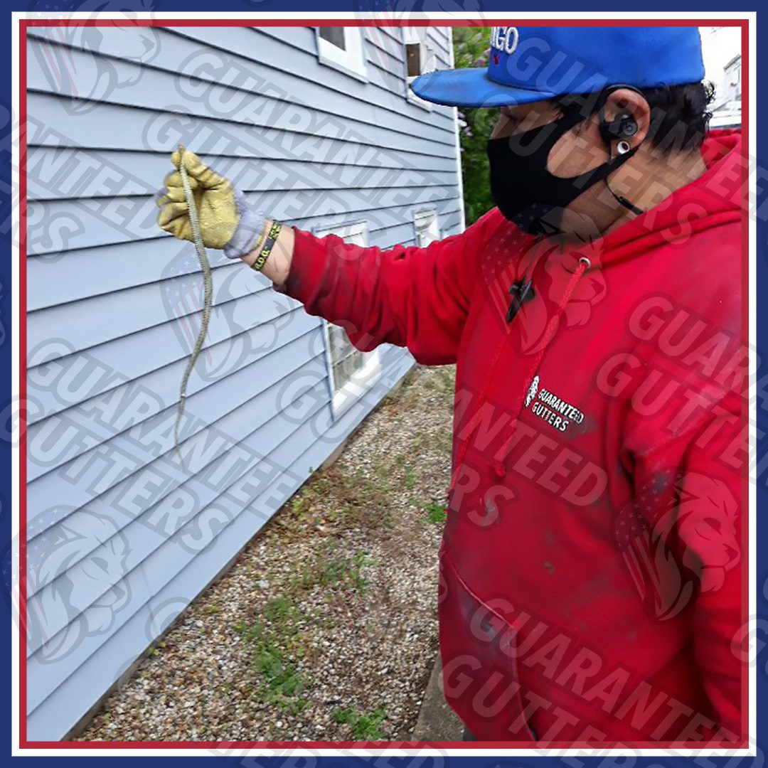 CHICAGO GUTTER CLEANING SERVICES