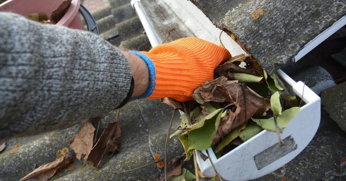 What is the Average Price for Gutter Cleaning - Guaranteed Gutters